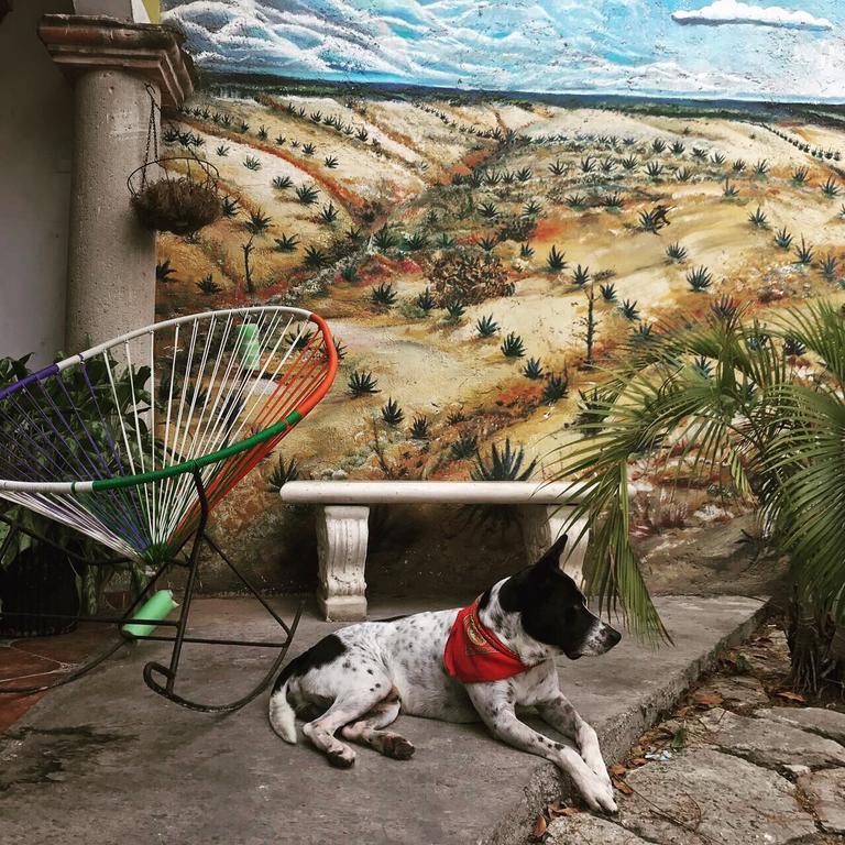 Hostel Ka Beh Cancún Zewnętrze zdjęcie